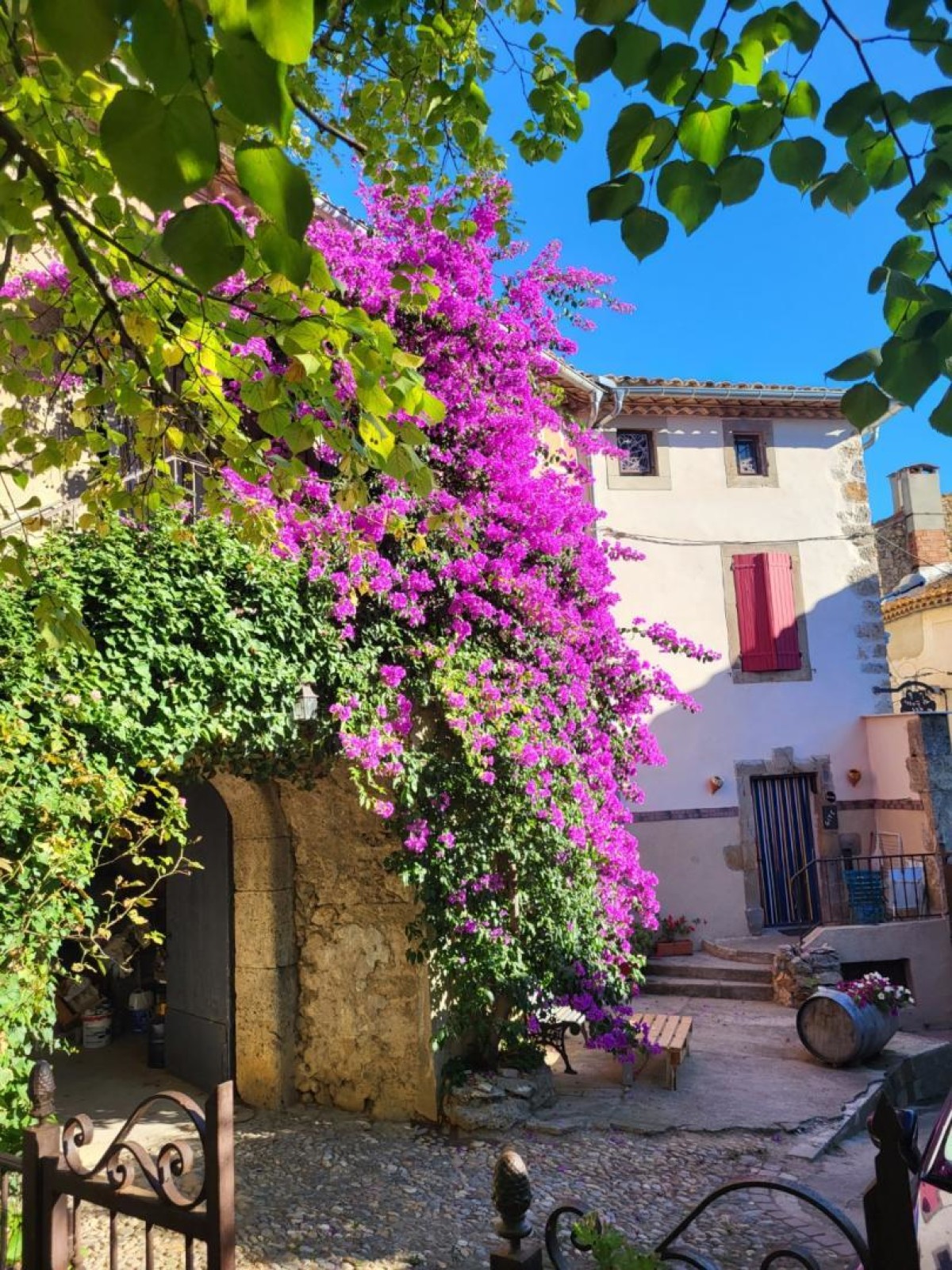 LE PATIO DES GRAGNOTTES