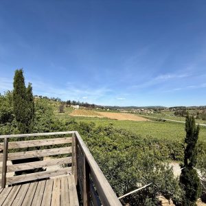 LA TERRASSE