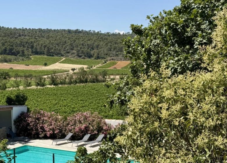 GRENACHE