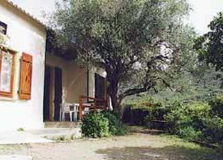 L’OLIVIER