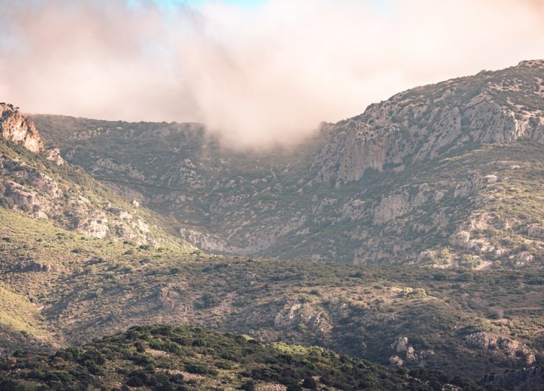 LE COL DE FEUILLA