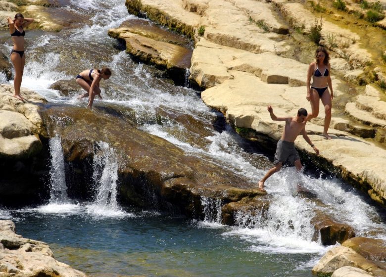 WASSERPLAN LES FARGUES