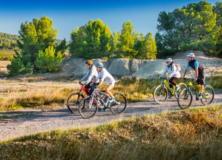 DOMAINS AND CASTLES IN CORBIERES-MINERVOIS