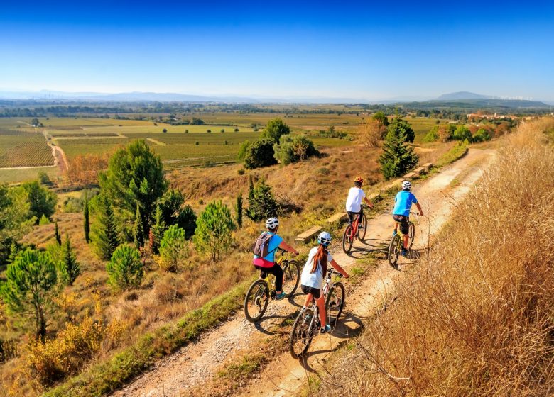 DOMAINS AND CASTLES IN CORBIERES-MINERVOIS