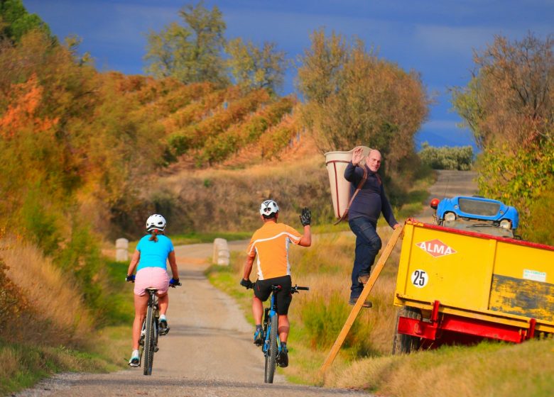 AUTOUR DU PECH TENAREL