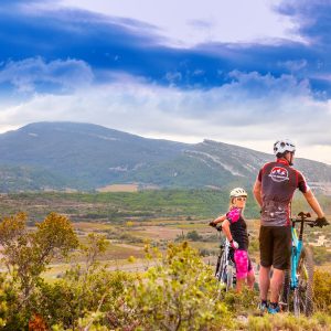 SOUS LE MONT ALARIC, LE RENARD VEILLE