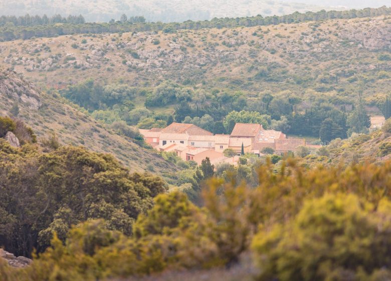 DE LA GARRIGUE AU VIGNOBLE