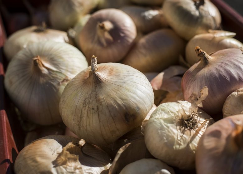 AU COMPTOIR DES PRODUCTEURS