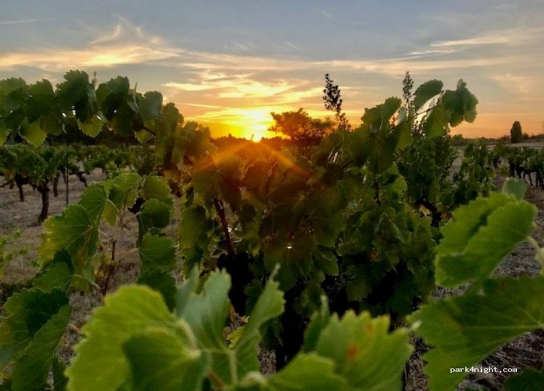 AIRE DE SERVICES POUR CAMPING-CARS – DOMAINE DE MINGRAUT