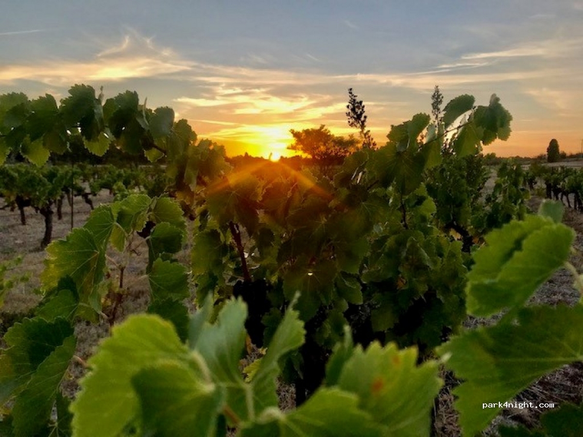 AIRE DE SERVICES POUR CAMPING-CARS – DOMAINE DE MINGRAUT