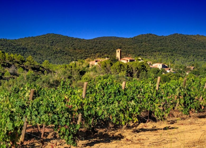 ETAPA 3 LA RONDA EN EL CORAZÓN DEL CORBIERES ALBAS - CASCASTEL