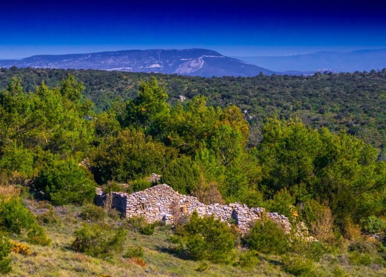 ETAPA 3 LA RONDA EN EL CORAZÓN DEL CORBIERES ALBAS - CASCASTEL