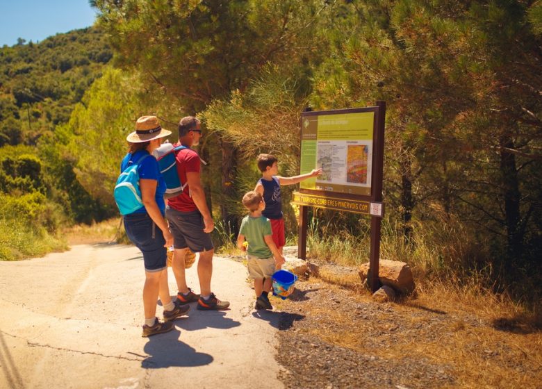 THE GEOLOGIST'S WALK