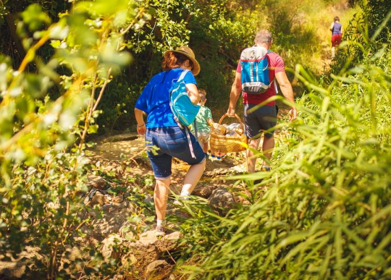 EL PASEO DEL GEÓLOGO