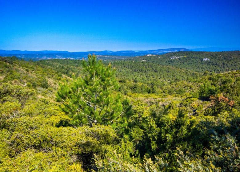 ETAPE 3 LA RONDE AU CŒUR DES CORBIERES ALBAS – CASCASTEL