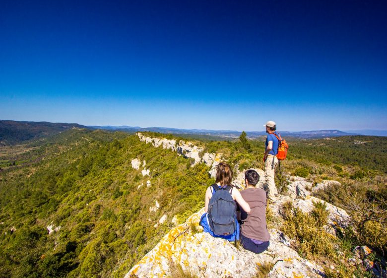 ALBAS, THE FIRST SURPRISES OF THE PYRENEES