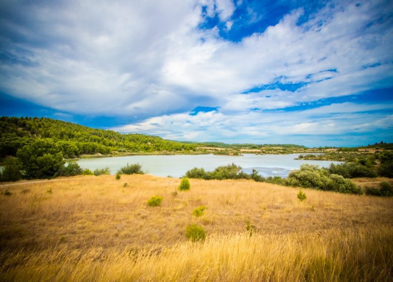 ARGEN-MINERVOIS