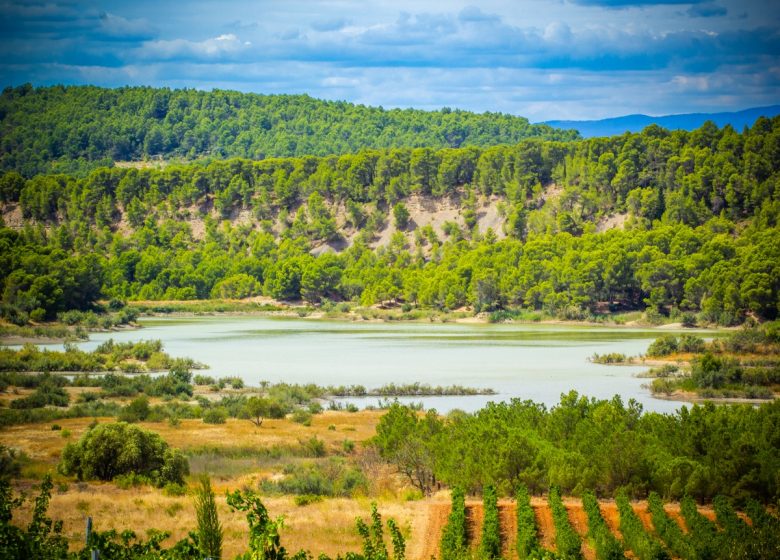 ARGENS-MINERVOIS