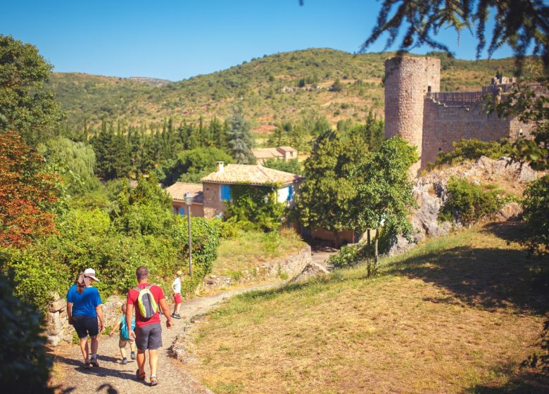 COMENCEM LA CAMPANYA