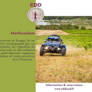 ESCAPADE VIGNOBLES ET TERROIR AVEC LE CDD