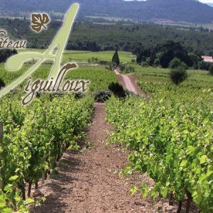 CHÂTEAU AIGUILLOUX