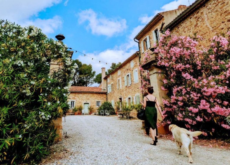 CHATEAU SAINT ESTÈVE