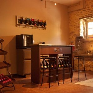 CHÂTEAU VIEUX MOULIN