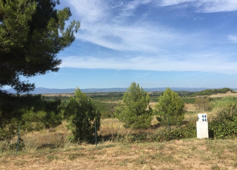 CAMPING LES 3 GREENHOUSES