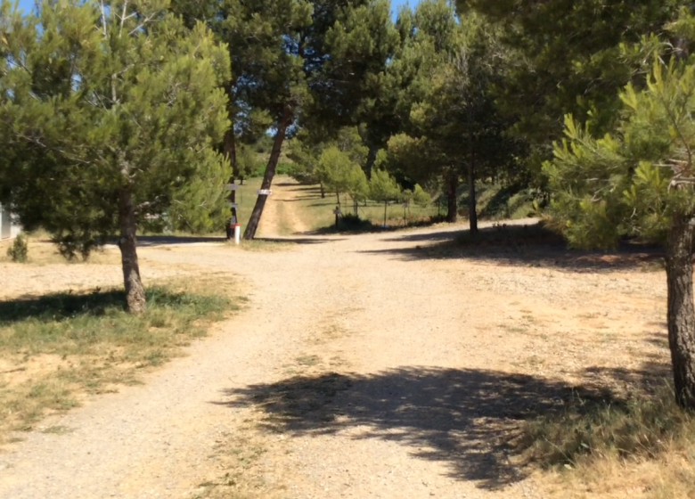 CAMPING LES 3 GREENHOUSES