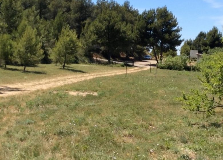 CAMPING LES 3 GREENHOUSES