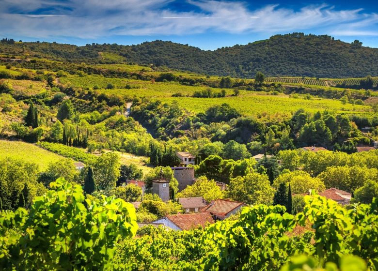 CASCASTEL-DES-CORBIERES