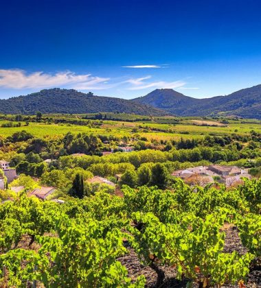 Las bodegas y áreas AOP Fitou