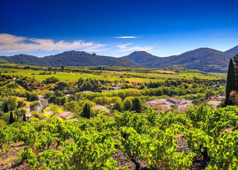 FASE 4 LA RONDA AL COR DE CORBIERES CASCASTEL DES CORBIERES - EMBRES I CASTELMAURE