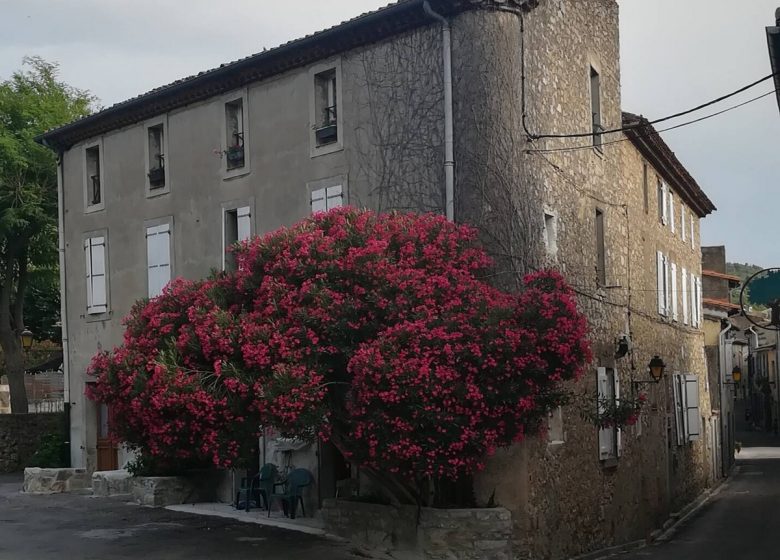 CHAMBRES D’HOTES CHEZ SHONA