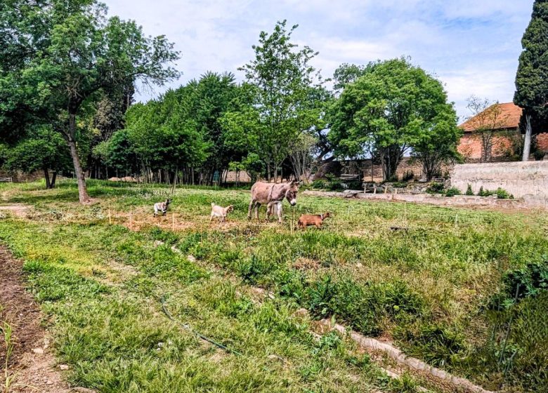 LES VIGNOBLES D’EXÉA – CHÂTEAU DE SÉRAME