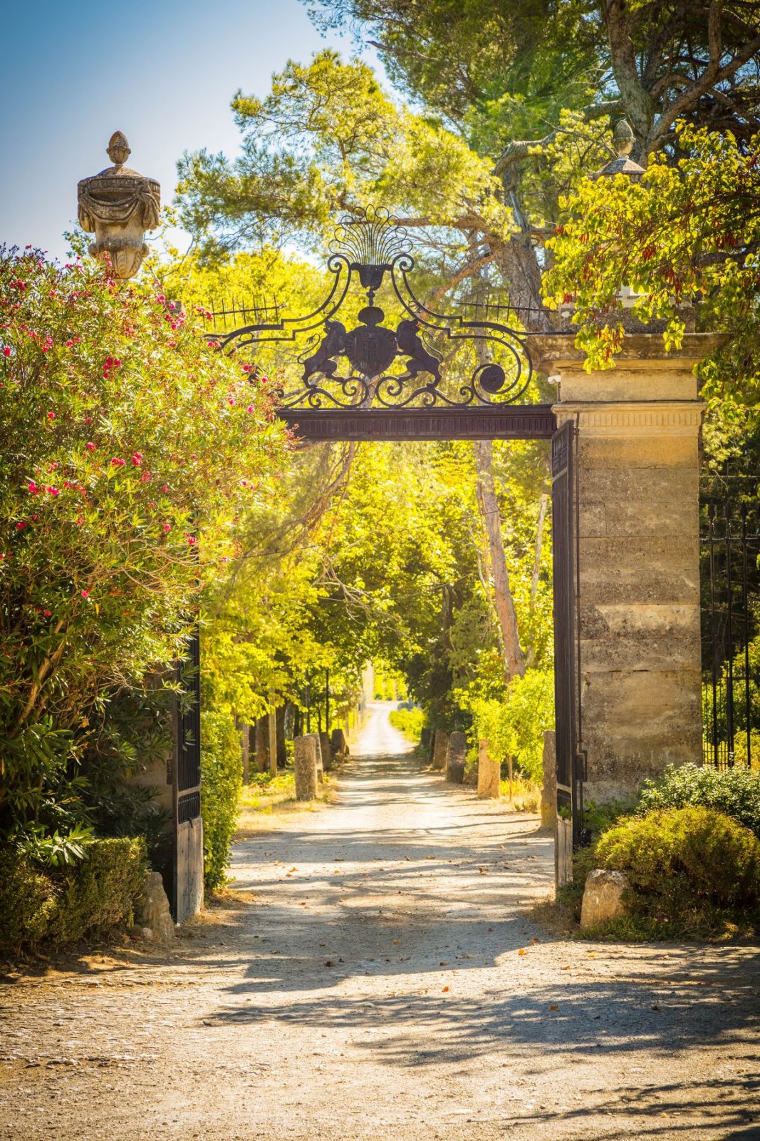 CHÂTEAU DU GRAND CAUMONT