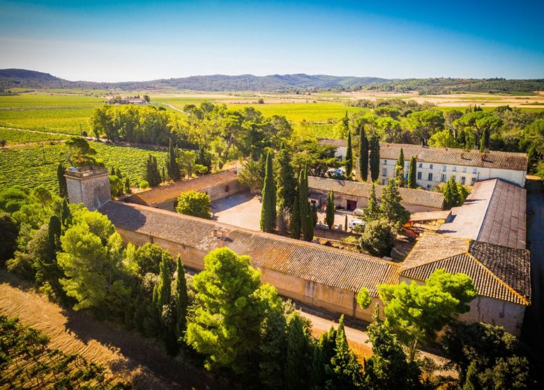 CASTILLO DEL GRAN CAUMONT