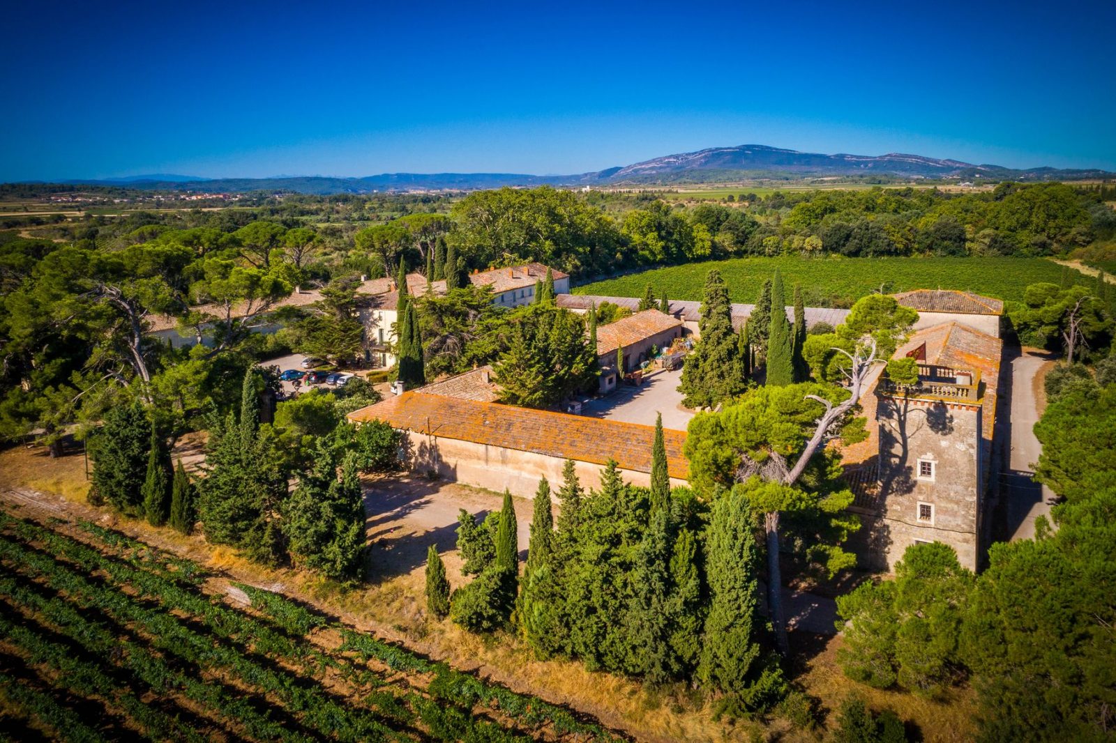 CHÂTEAU DU GRAND CAUMONT