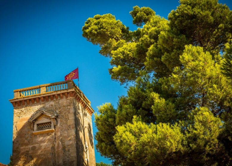 CASTILLO DEL GRAN CAUMONT