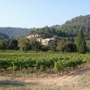 CHATEAU CASCADAIS