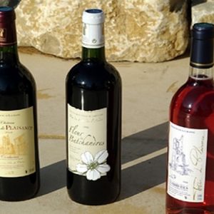 CHATEAU TOUR DE PLAISANCE