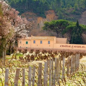 CHATEAU VAUGELAS