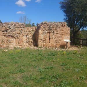 CIRCUIT 24 – FOURQUES ET ST-ROME