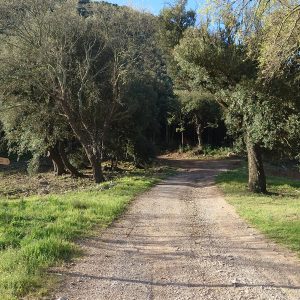 CIRCUIT 25 – FOURQUES ET ST-ROME