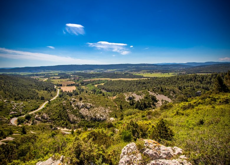 CAMPLONG-D'AUDE