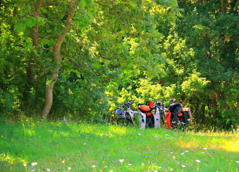 SUR LES ROUTES DU PATRIMOINE MÉDIÉVAL