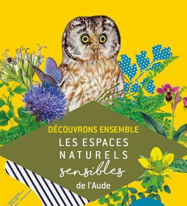 ENS – SORTIE BOTANIQUE : DE LA PETITE PLANTE AUX GRANDS PAYSAGES