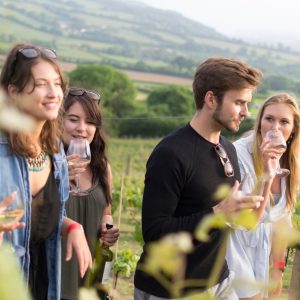 VILLEMAJOU SPH BERTRAND