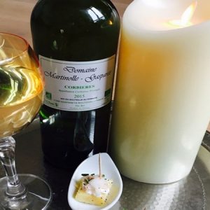 DOMAINE MARTINOLLE GASPARETS