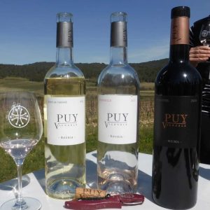 VIGNOBLE PUY